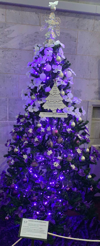 Nelson Cathedral Christmas Tree Festival cover Image