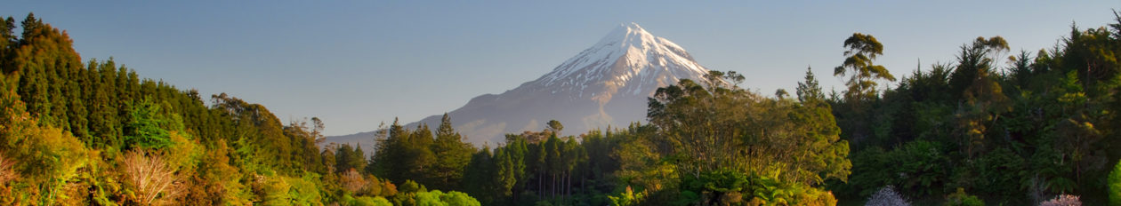 Taranaki cover image