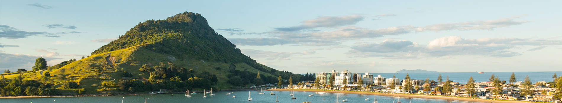 Alzheimer's Society Tauranga Incorporated logo