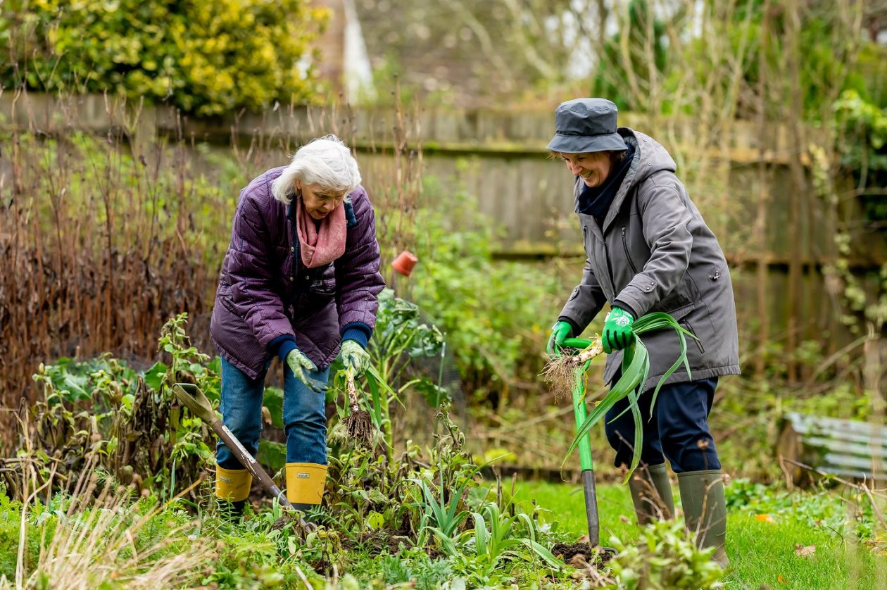 Spike in dementia cases to generate major health equity issues Post Cover Image