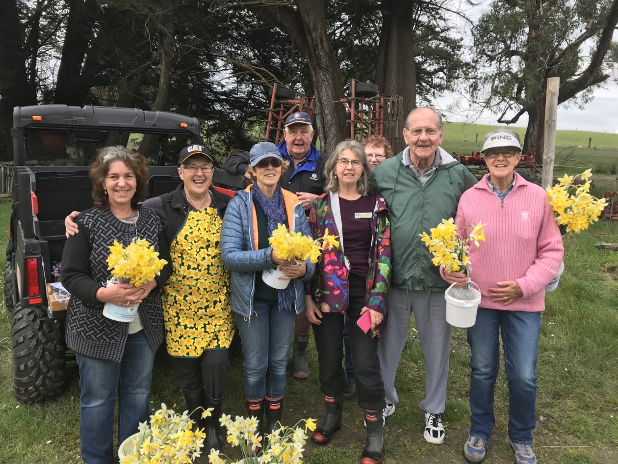 Members of the Out and About group standing together in a field carrying daffodils they have picked