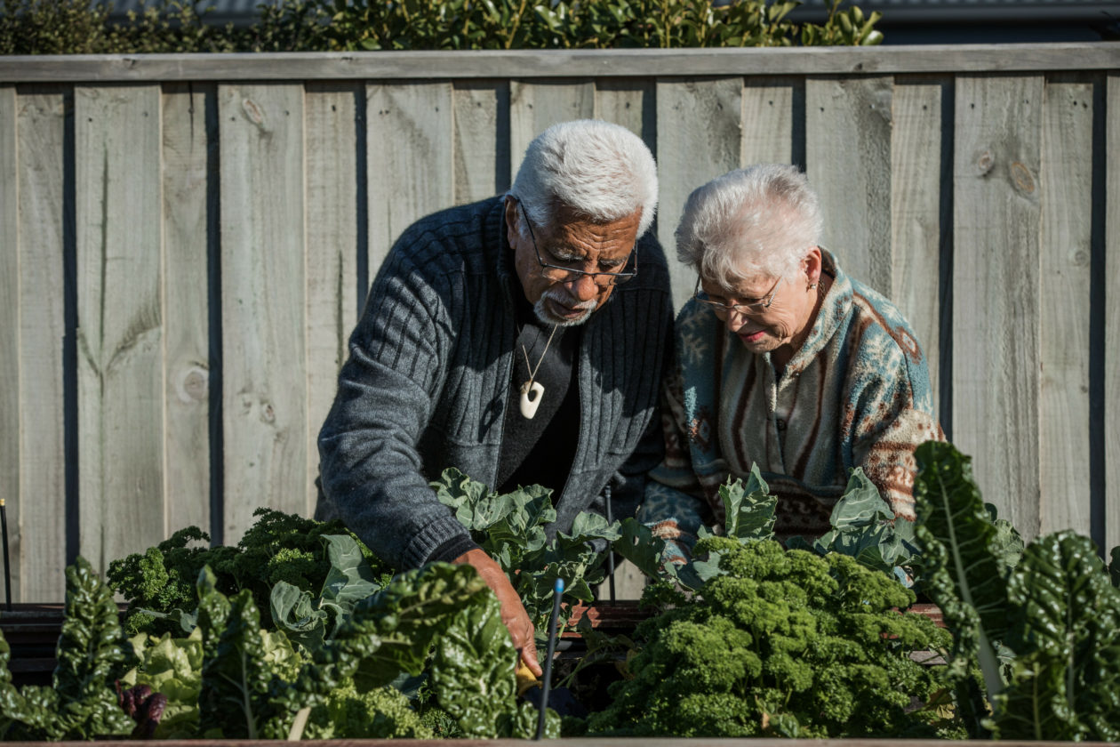 Pacific and Māori resources now available for dementia support Post Cover Image