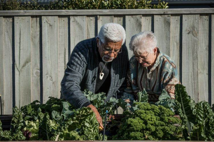 Pacific and Māori resources now available for dementia support Cover Image