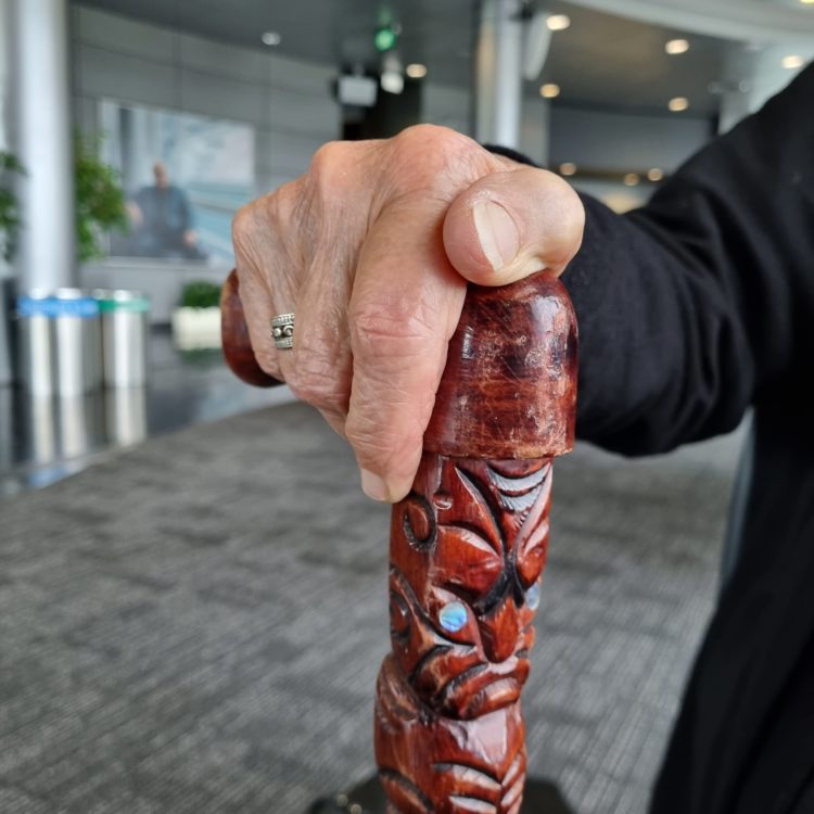 Haumanu Whakaohooho Whakaaro – Māori
