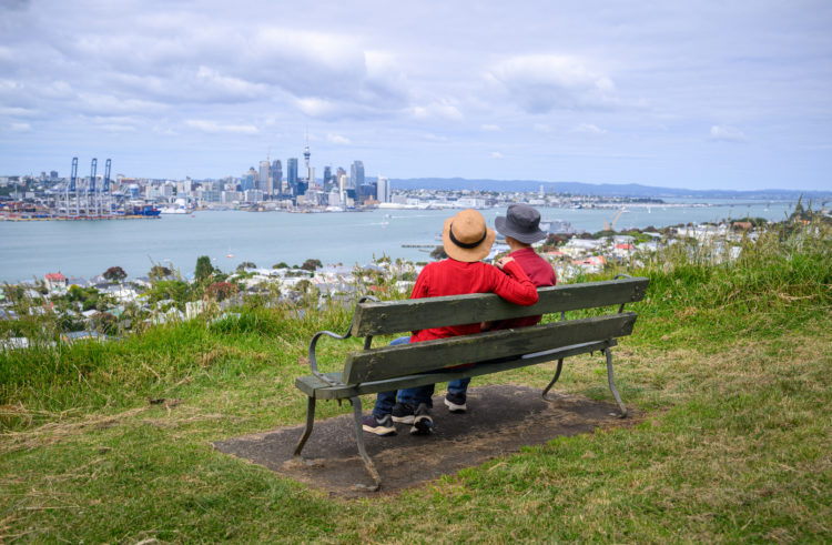 Alzheimers NZ welcomes long overdue update on Health NZ’s review of aged care system cover Image